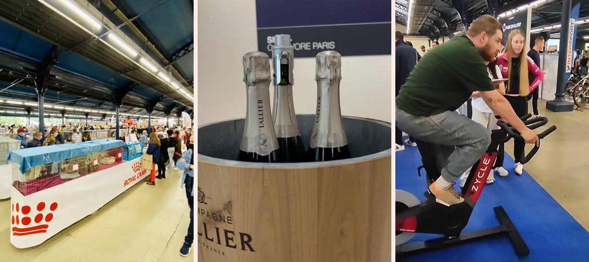 Hall de la Pinede - Photo 1