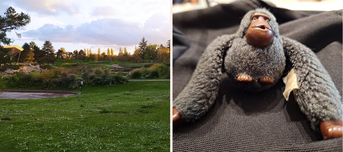 Hall de la Pinede - Photo 2