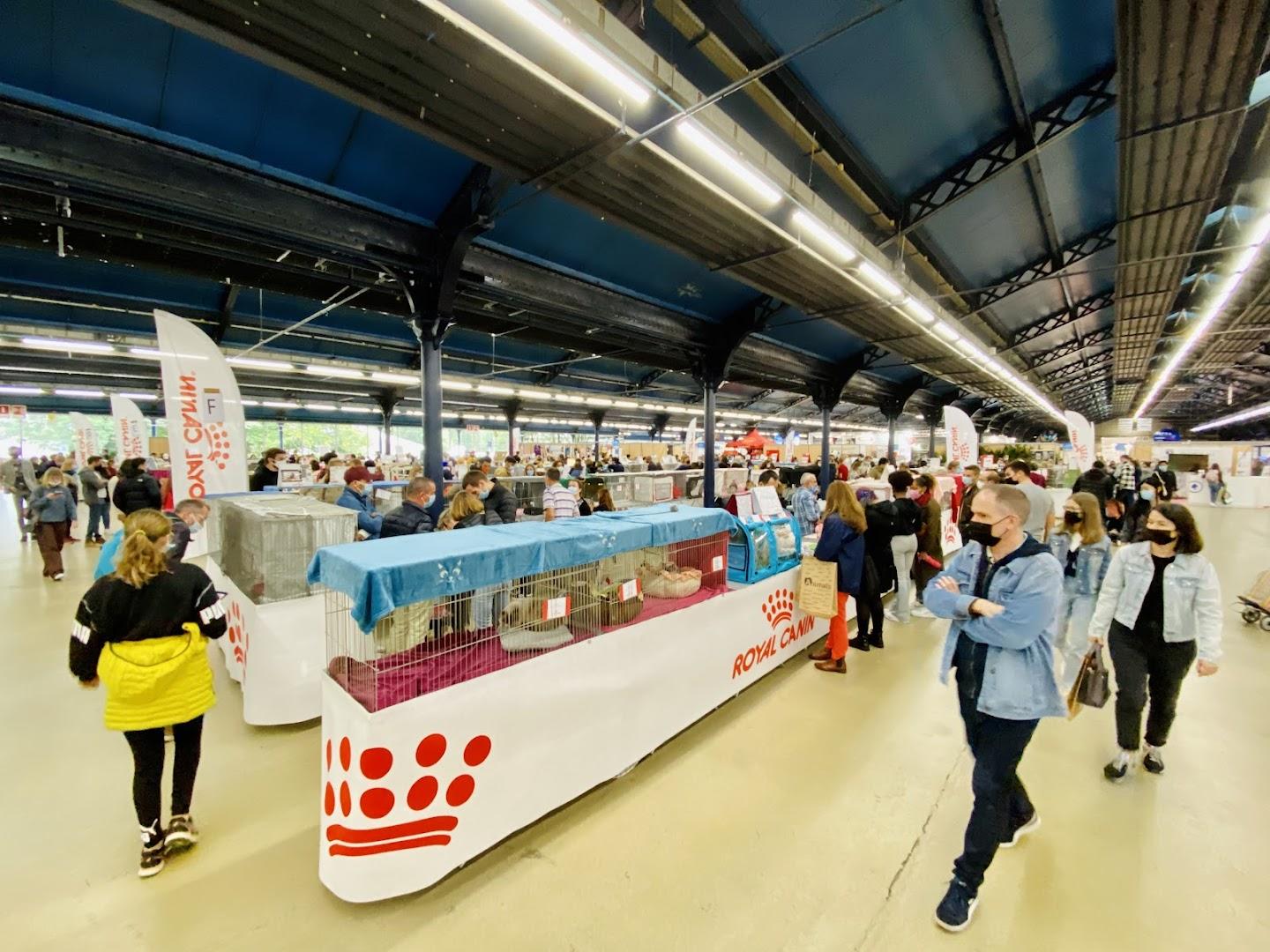 Hall de la Pinede - Photo 3